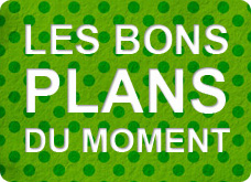 Les bons plans du moment