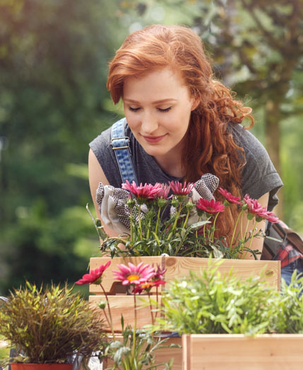 Jardinerie en ligne et animalerie Vertagri