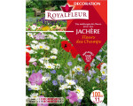 MELANGE FLEUR DES CHAMPS  100M2