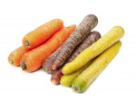 SACHET CAROTTES EN MELANGE