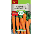 SACHET GEANT CAROTTE NANTAISE