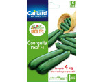 BELLE RECOLTE COURGETTE PIXAR