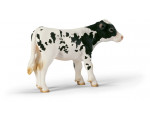 VEAU HOLSTEIN