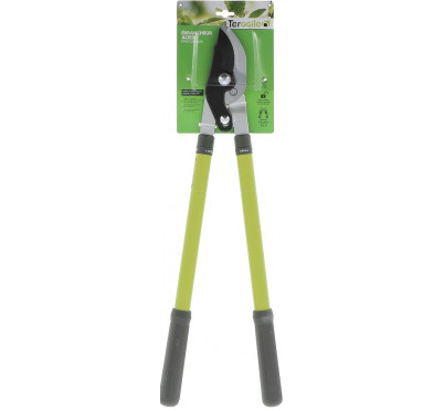 EBRANCHEUR TELESCOPIQUE TERAGILE