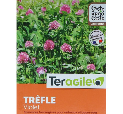 TREFLE VIOLET 1KG TERAGILE