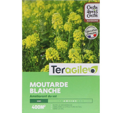 MOUTARDE 1KG TERAGILE