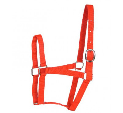 LICOL NYLON ECO DOUBLE PONEY