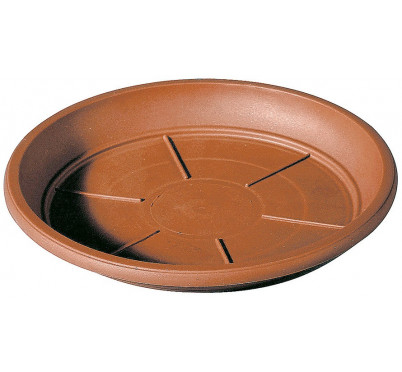 SOUCOUPE DAY-R D40 TERRE CUITE