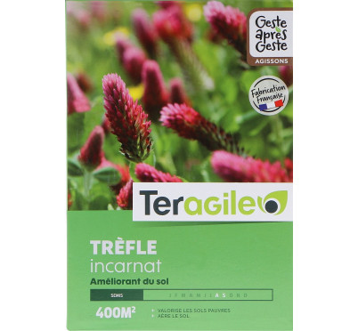 TREFLE INCARNAT 1KG TERAGILE