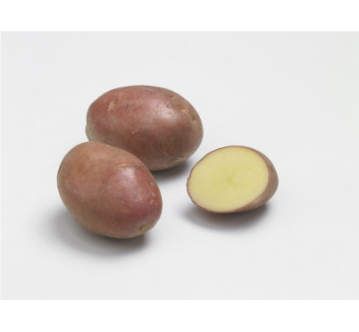 DESIREE  28/35  5 Kg