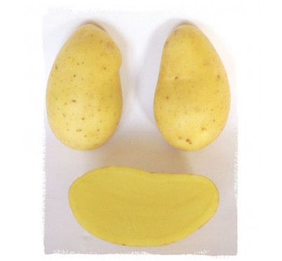 BERNADETTE 28/40  5 KG