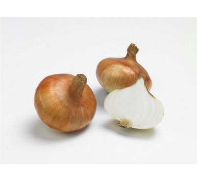 OIGNON STUTTGARTER RIESEN 500G