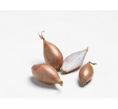 ECHALOTE LONGOR    500GRS