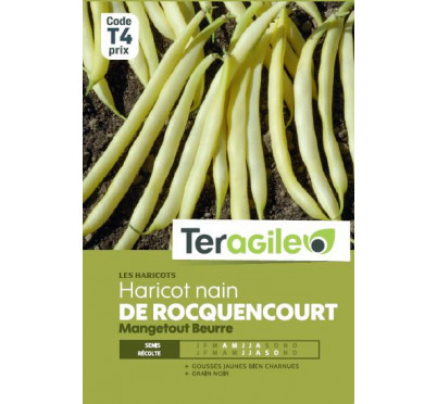 HARICOT NAIN ROCQUENCOURT 220G