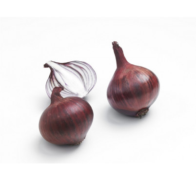 OIGNON ROUGE 14/21 250GRS