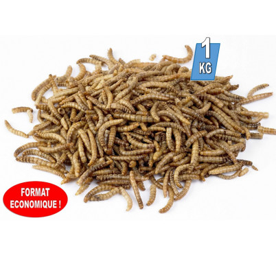 VERS  DESHYDRATES 1KG