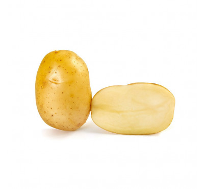 NAWEN 28/35 PROMO 1,5Kg