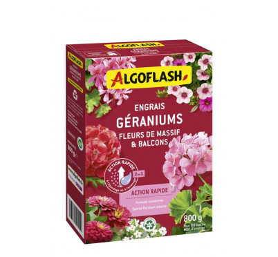 ENG GERANIUM/FLEUR  RAPIDE 800GR