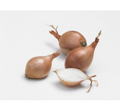 ECHALOTE MIKOR    500GRS