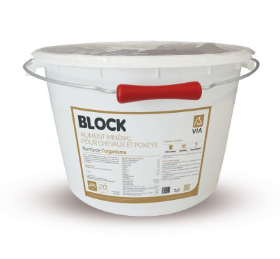VIA BLOCK MINERAL 20KG
